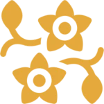 Yellow floral icon on black background